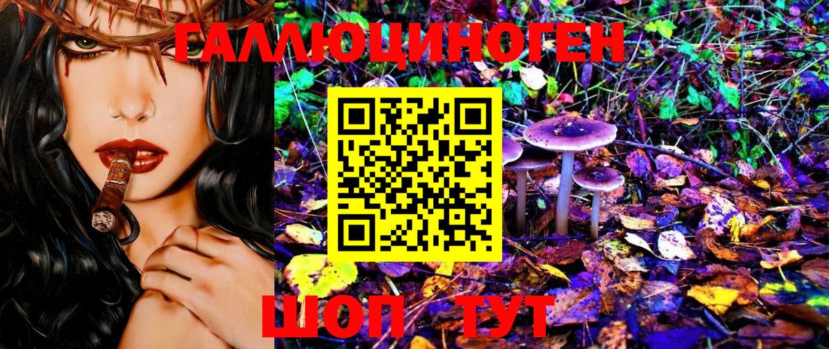 Псилоцибиновые грибы мицелий  Псилоцибиновые грибы Psilocybe  сколько стоит  Вход с VPN  Ефремов 
